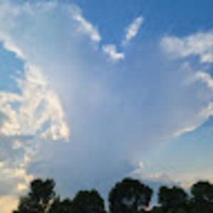 Meet your Posher, Shareen